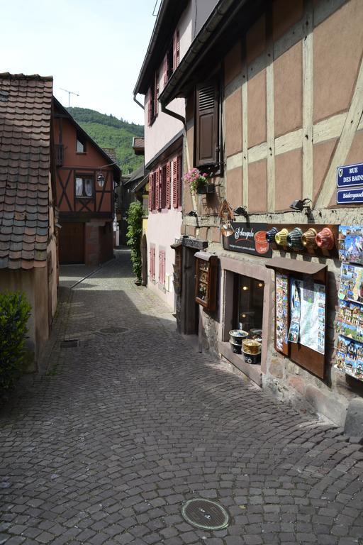 Gîtes Du Stekala Kaysersberg-Vignoble Zimmer foto