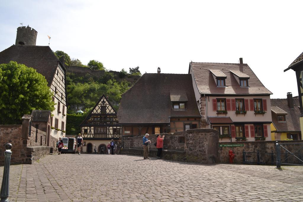 Gîtes Du Stekala Kaysersberg-Vignoble Zimmer foto