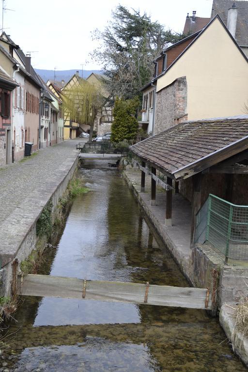 Gîtes Du Stekala Kaysersberg-Vignoble Exterior foto