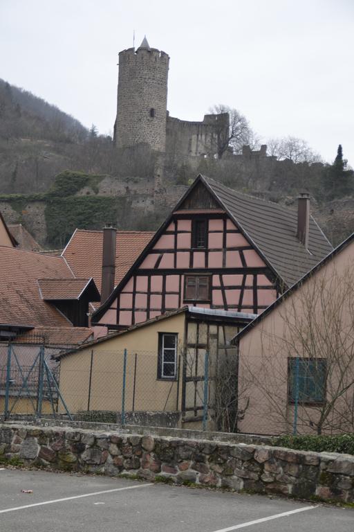 Gîtes Du Stekala Kaysersberg-Vignoble Exterior foto