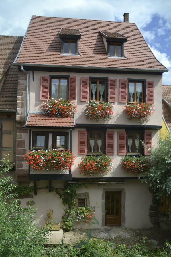 Gîtes Du Stekala Kaysersberg-Vignoble Exterior foto